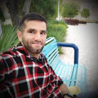 محمد حسین تجلی پروفایل