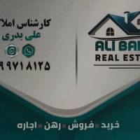 علی بدری پروفایل