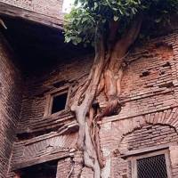 صادقیان املاک کهن دیار پروفایل