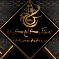 علی کیانی زاده پروفایل