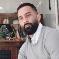 سعید شهبازی پروفایل