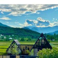 امین صابر پروفایل