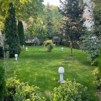 حدادی پروفایل