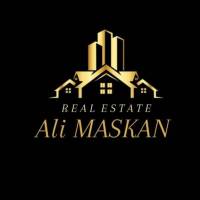 علی عباسی  پروفایل