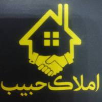 محمد حسین دزفولی پروفایل