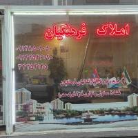 صیادشاهی پروفایل