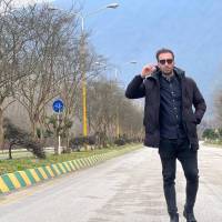 داودی پروفایل