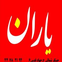 علی کاهه پروفایل