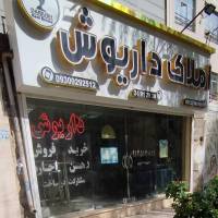 مسکن داریوش پروفایل