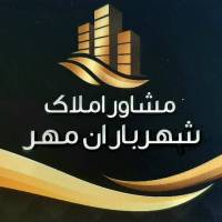 یحیی پور پروفایل