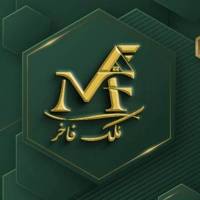 سید مصطفی حسینی پروفایل