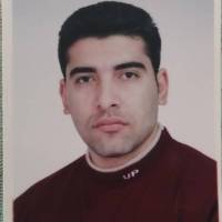 آقای رنگ رز  پروفایل