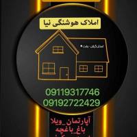 امیر علیپور پروفایل