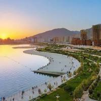محمدزاده پروفایل