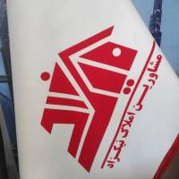رضا دوست محمدی پروفایل
