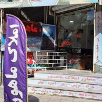 داود محمدی پروفایل