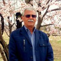 حمیدرضا کیان پروفایل