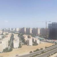 مهدی علیپور پروفایل
