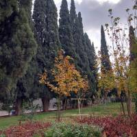 زینلی پروفایل
