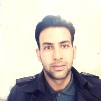 علی چناری پروفایل