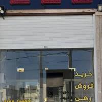 قاسمی پروفایل