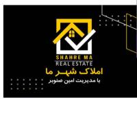 امین صنوبر پروفایل