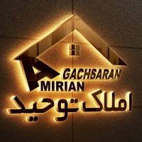 امیرهوشنگ امیریان پروفایل
