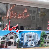 عادل محمدی پروفایل