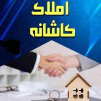 حامد بیابانی پروفایل