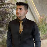 ابوالفضل حمدی 2 پروفایل