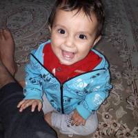 سعید حکمتی پروفایل