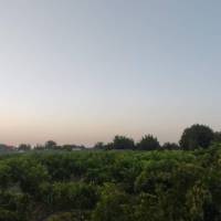حسین اصغری پروفایل
