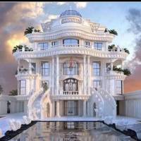علی شاهی وند پروفایل