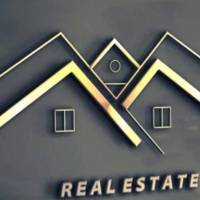 مرتضی پور پروفایل