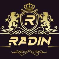 علیرضا رادین پروفایل