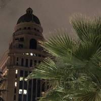 خانم ع روضی 09120833358 پروفایل