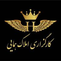 سعید همایی پروفایل