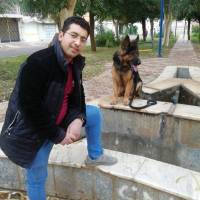 املاک لوکس پروفایل