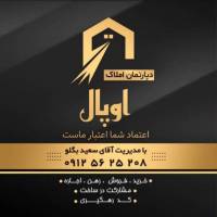 متین احمدی پروفایل
