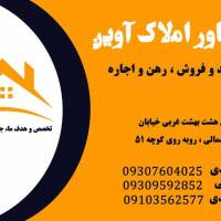 امیر احمدی پروفایل