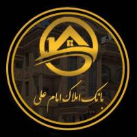 امیر محمد دهقانی پروفایل