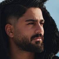 رضا دیپلمات پروفایل