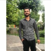 علیرضا محبی فر پروفایل