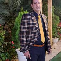 مجتبی چلنگر پروفایل