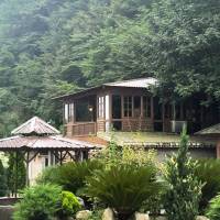  خانم نظری  پروفایل