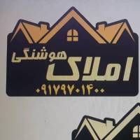 امیرحسین هوشنگی پروفایل