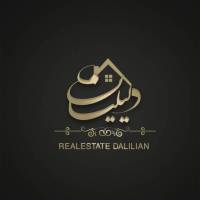 معین دلیلیان پروفایل