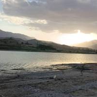 سارا محزون پروفایل