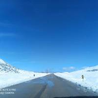 ایران وطنم پروفایل