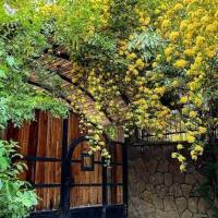  ALMAS AMLAK ZNJ پروفایل